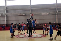 立己达人 | 郑州经开区朝凤路小学夺得全区中小学生篮球联赛冠军