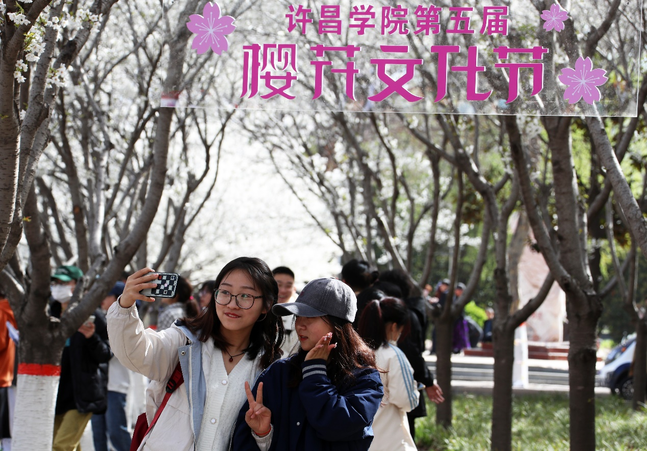 许昌学院：挖掘“樱花”中蕴藏的育人元素 打造“樱花文化节”活动品牌