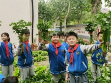 体验劳动快乐 享受收获喜悦 郑州经开区实验小学开展劳动实践周系列活动