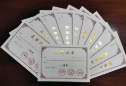 河南财政金融学院在全国幼儿教师职业技能大赛中获佳绩