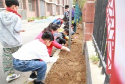 郑州经开区外国语小学：在劳动中“种植春天”
