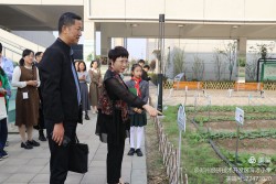 专业引领明方向，倾情浇灌促成长   郑州市基础教研室调研经开区育才小学课程开展情况