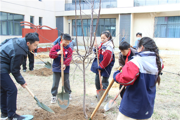 小手种绿意 童心护家园     郑州经开区龙飞小学开展植树节活动