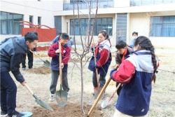小手种绿意 童心护家园     郑州经开区龙飞小学开展植树节活动