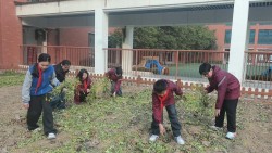 植绿护绿正当时！ 郑州经开区实验小学教育集团总校区植树节活动热火朝天启新程