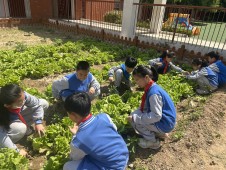 乐享劳动，践行美好  郑州经开区实验小学教育集团总校区开展五一劳动节主题实践活动